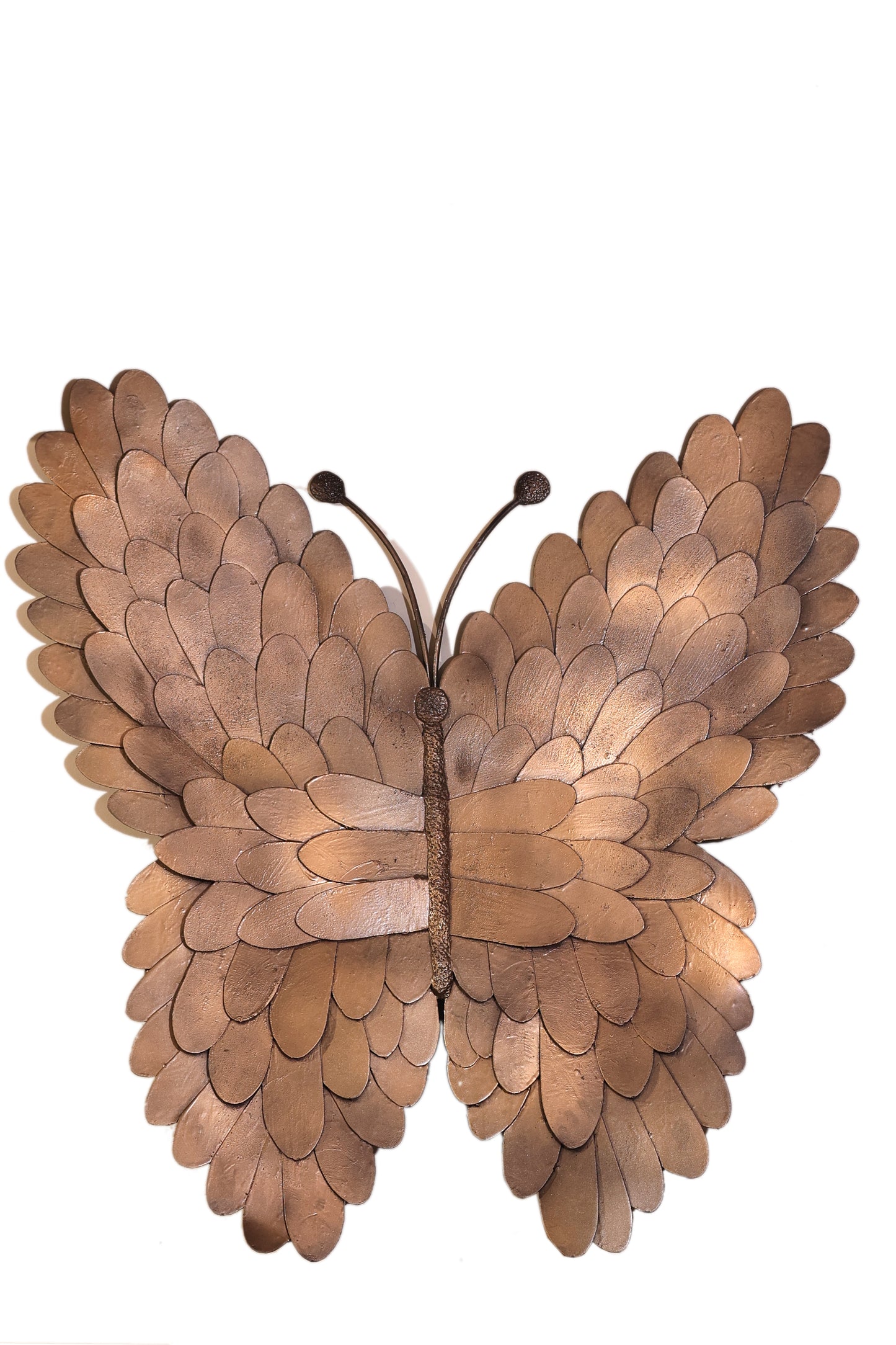 Butterfly on the Wall