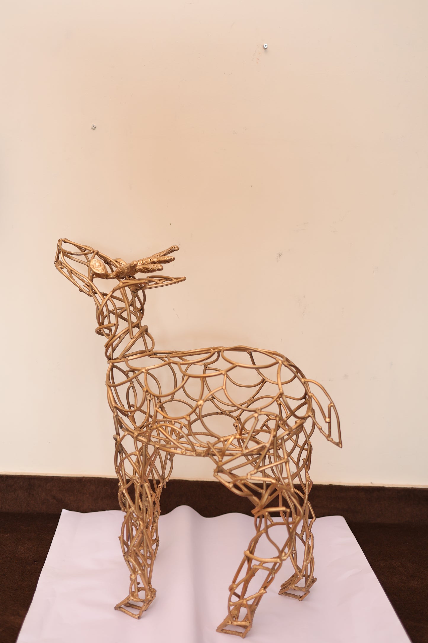 Maya The Deer