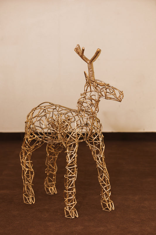 Maya The Deer